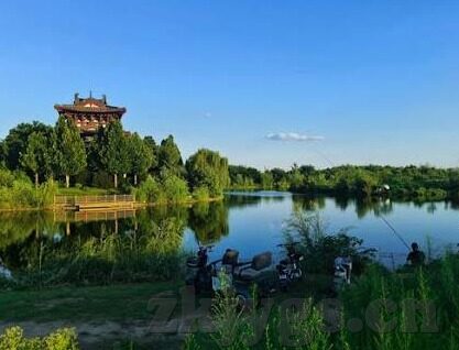 麻豆av-探索麻豆AV现象，时代浪潮下的文化瞥见