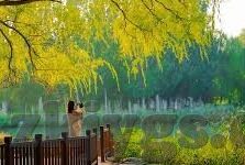 欧美日韩色情av-欧美日韩影视文化中的艺术与界限探讨