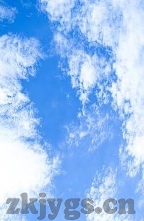 向日葵视频成人app下载-探索向日葵视频，成人APP下载的多元视角
